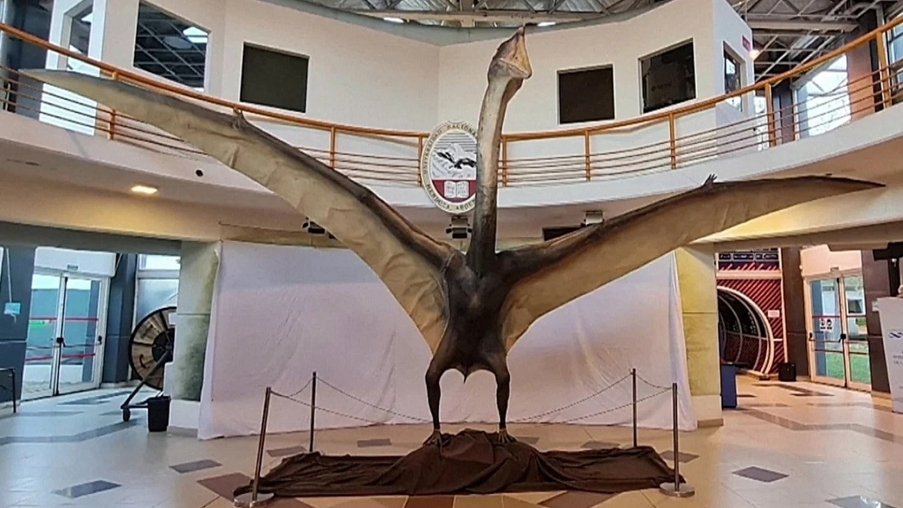 Smok sprzed 86 milionów lat. Paleontolodzy dokonali niesamowitego odkrycia