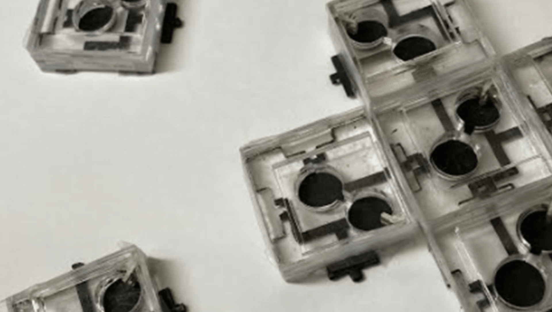 Czym są biobaterie?
