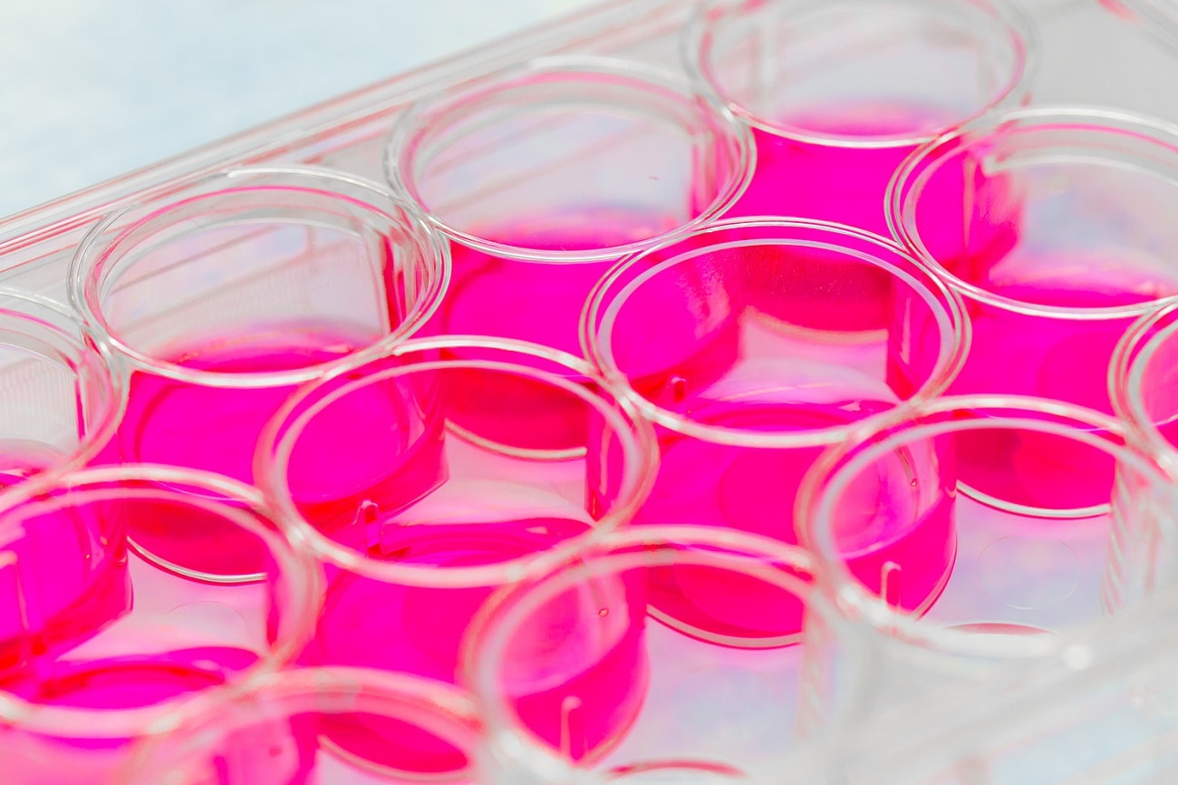 Komórki macierzyste poleciały w kosmos. Tylko po co?