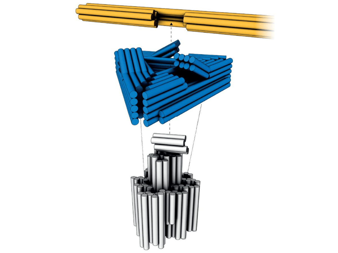 Schemat budowy nanomotoru DNA /Fot. TUM
