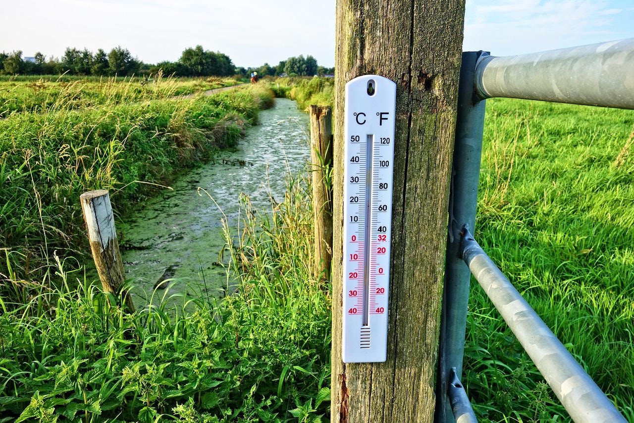 Jak temperatura wpływa na życie? Ten model badaczy wreszcie odpowie na ważne pytania