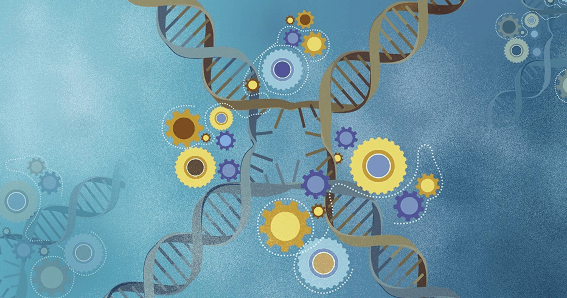 Wizja artystyczna połączenia Holliday’a /Fot. DESY
