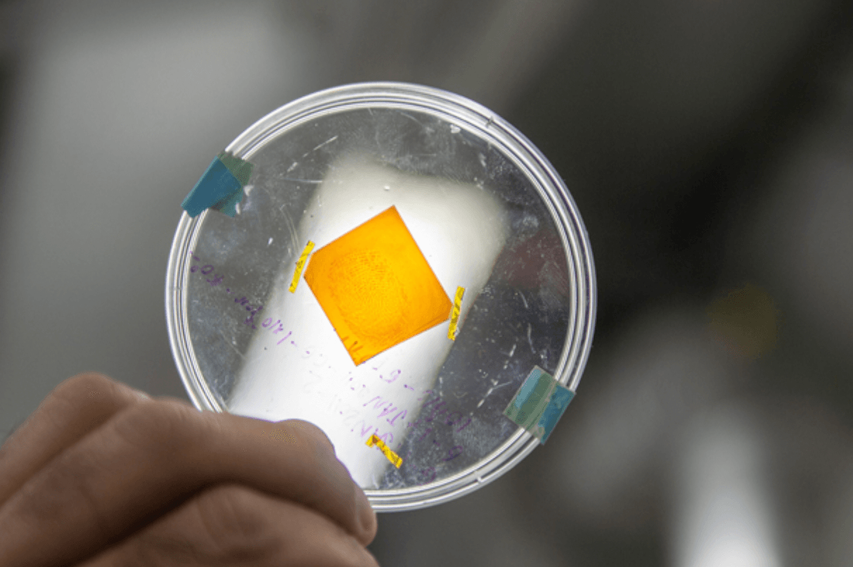 Naukowcy przetestują uniwersalność opracowywanej przez siebie techniki na odciskach palców zebranych z różnych materiałów i przechowywanych w różnych warunkach środowiskowych /Fot. Kelby Hochreither, Penn State.
