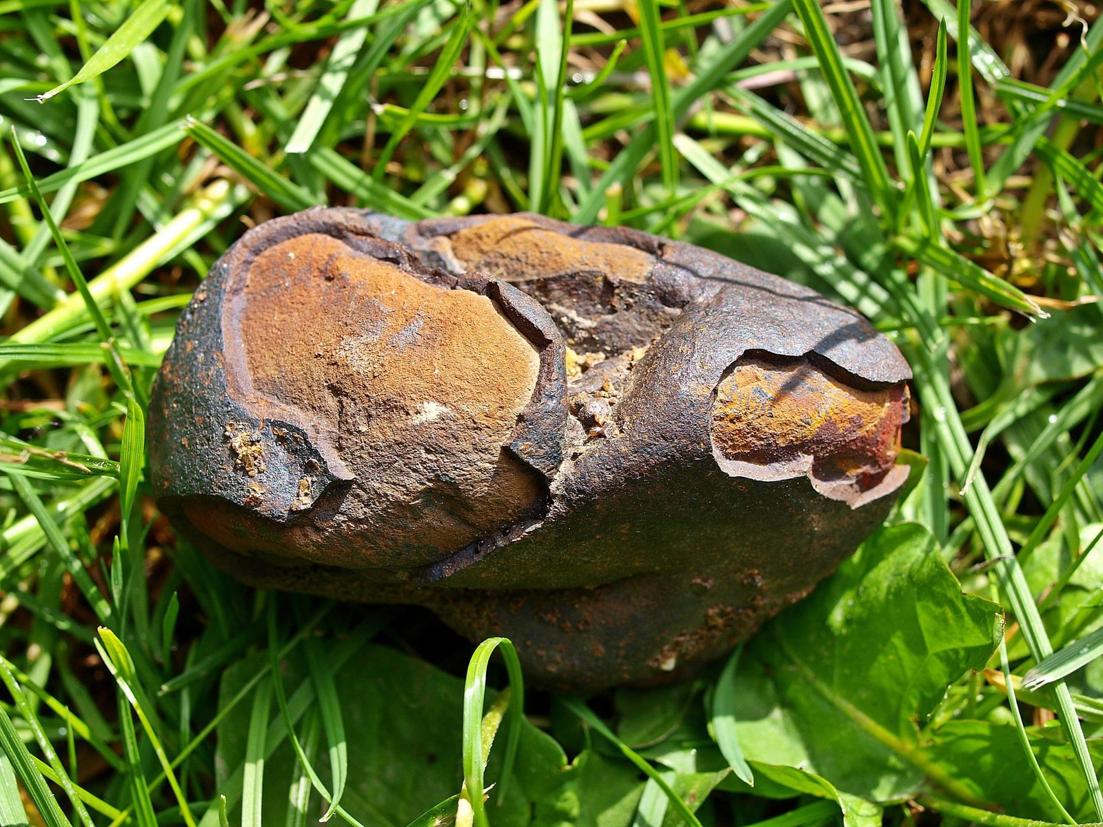 mały meteoryt