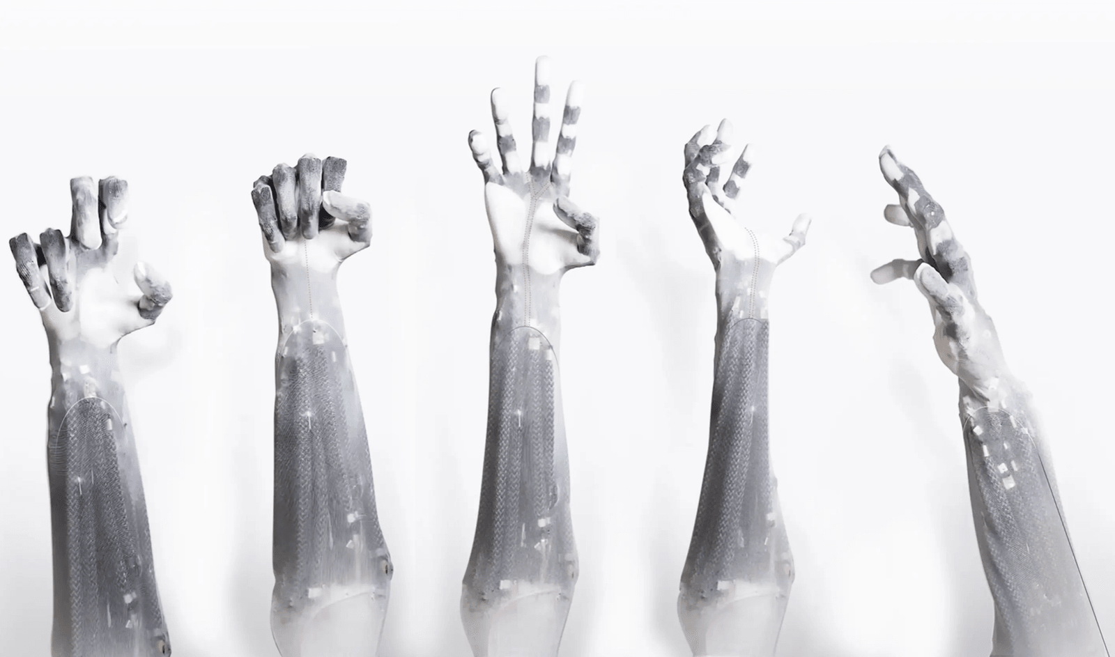 Fot. Clone Robotics
