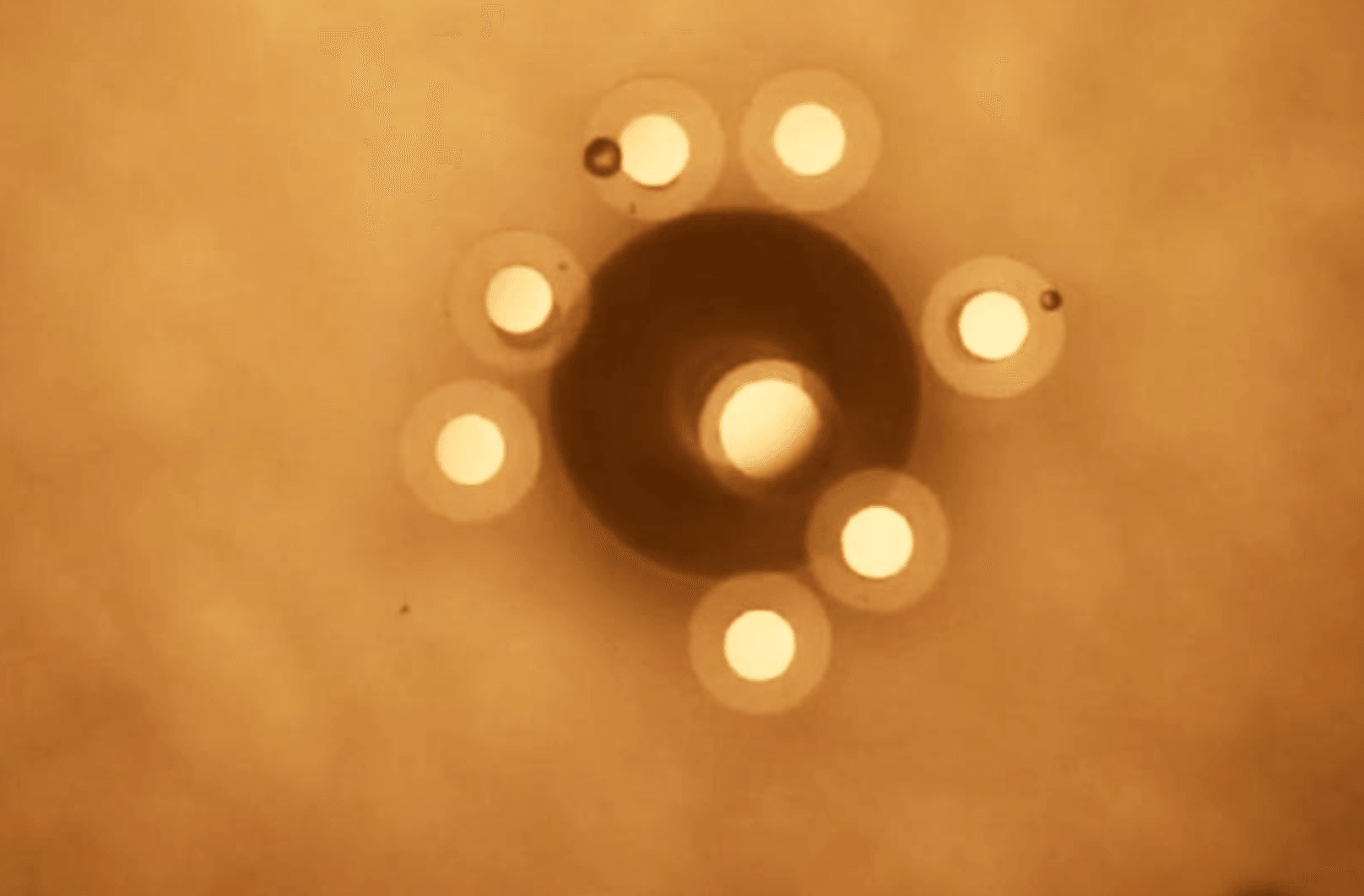 Stworzono mikrocząstki, które mogą współpracować ze sobą jak owady społeczne /Fot. MIT
