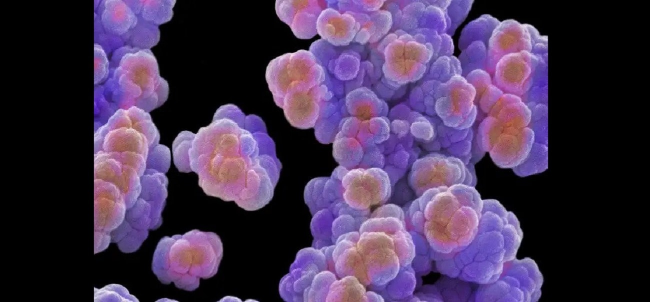 Bakterie żywiące się metanem zaskakują. Wiemy, co za tym stoi