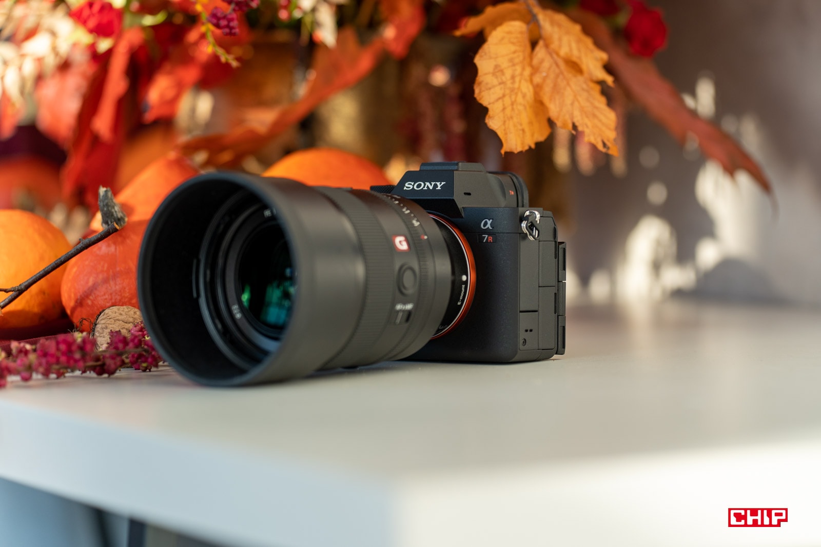 Używałem Sony A7R V. Mocarny autofocus i słuszny kierunek rozwoju nowej generacji aparatów