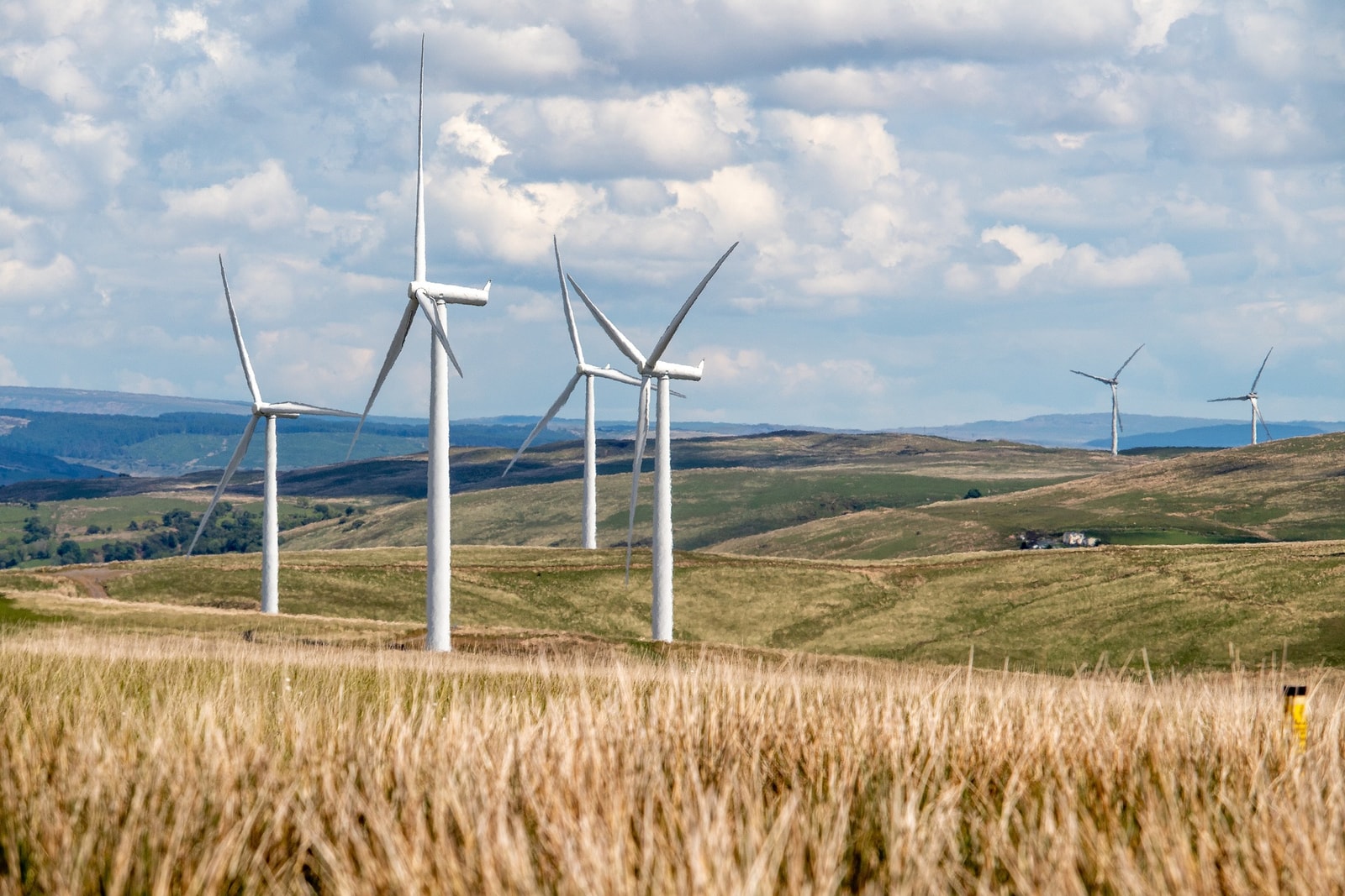 Polskie firmy z coraz „czystszą” energią? Orange stawia na panele słoneczne i turbiny wiatrowe