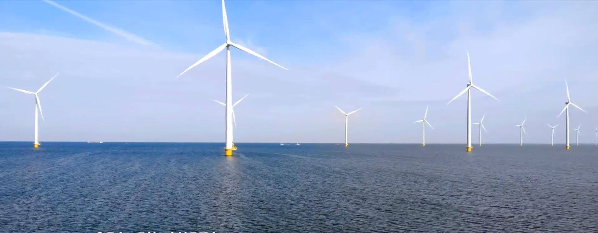 Turbiny wiatrowe będą zachowywały się jak palmy i to świetna wiadomość