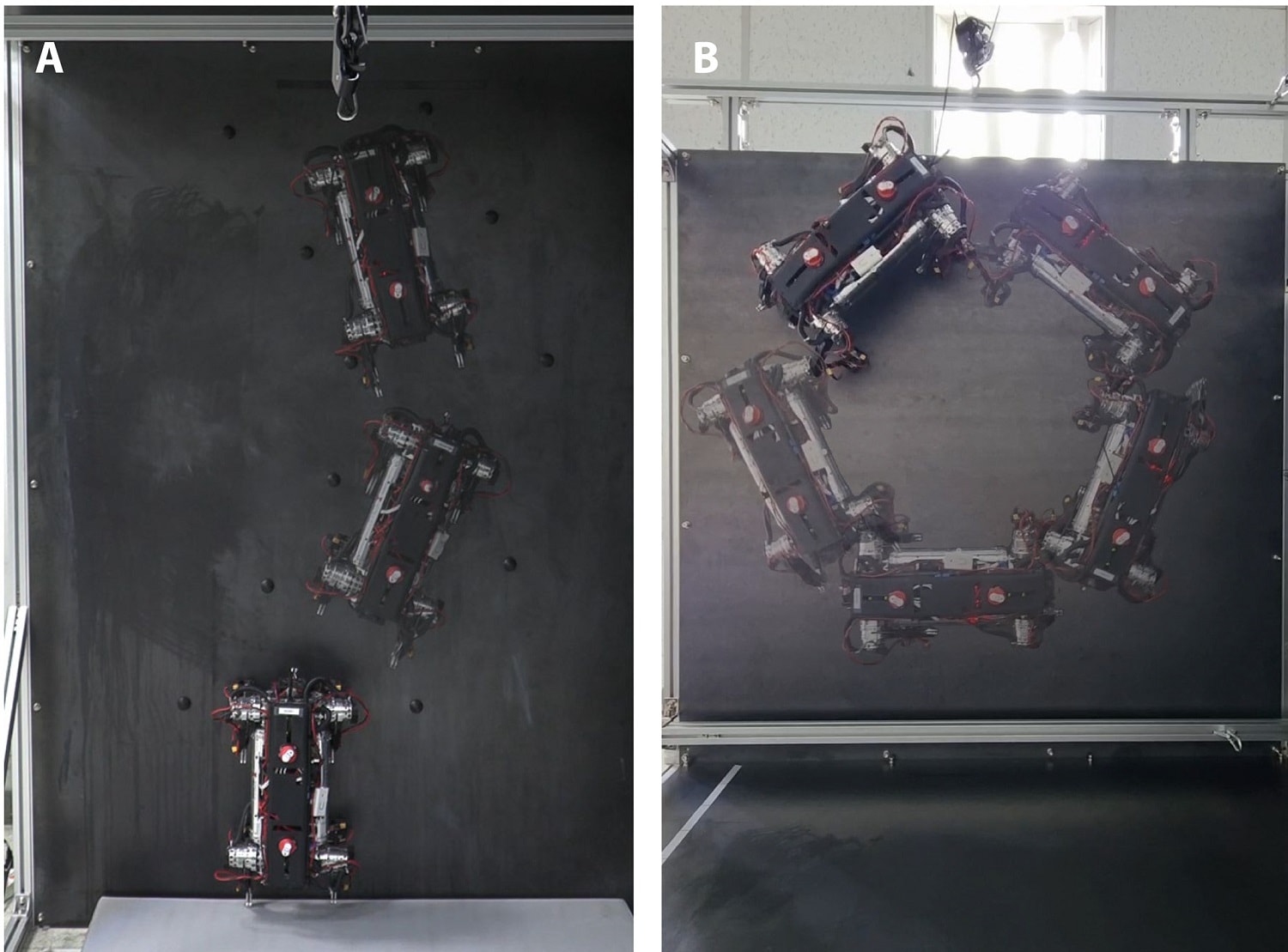 Oto MARVEL. Temu robotowi niestraszne są nawet ściany. Mamy nagranie, na którym widać, jak sobie z nimi radzi