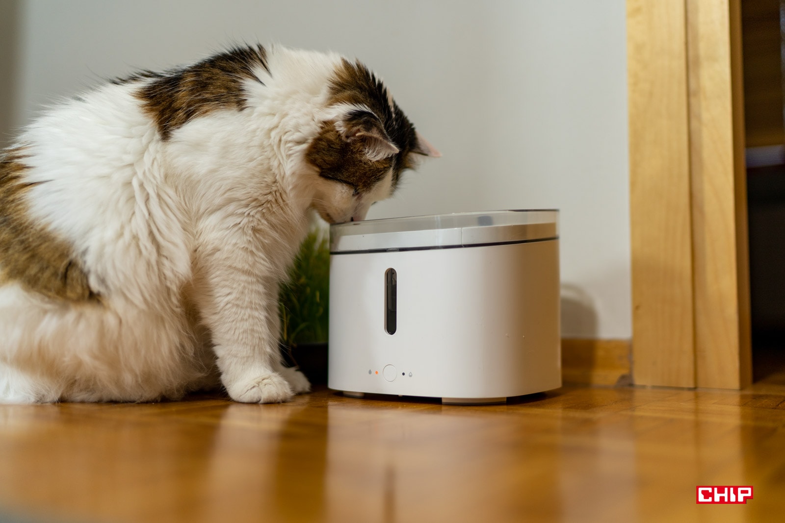 Test Xiaomi Smart Pet Fountain – podaruj kotu odrobinę luksusu