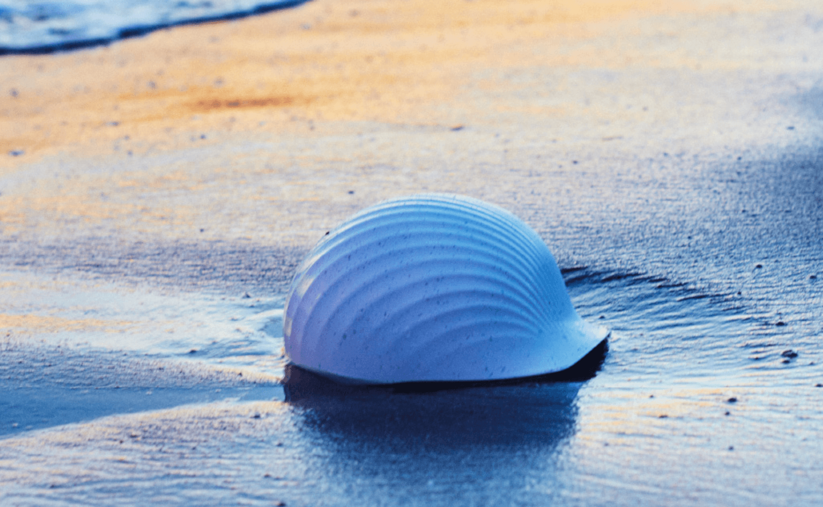Kask Shellmet

