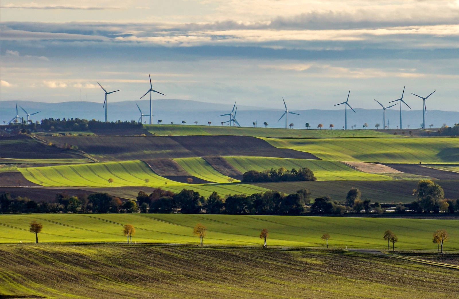 Rekord produkcji energii w Polsce. Turbiny wiatrowe wykręciły niemal maksimum, ale co się stało z nadwyżką?