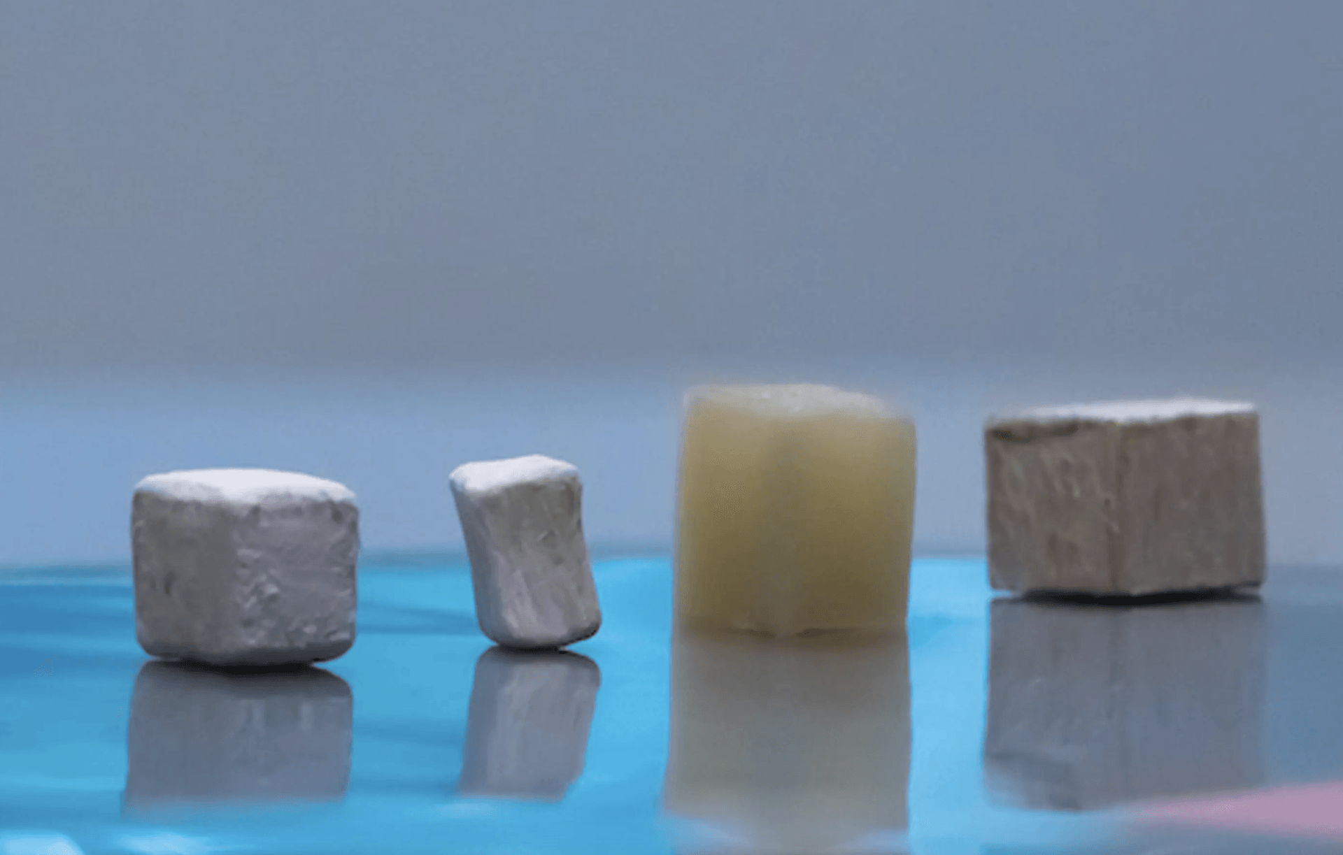 Drewno na różnych etapach modyfikacji – od naturalnego (po prawej) do delignifikowanego (drugi od prawej), aż do drewna modyfikowanego z zastosowaniem MOF (po lewej) /Fot. Rice University
