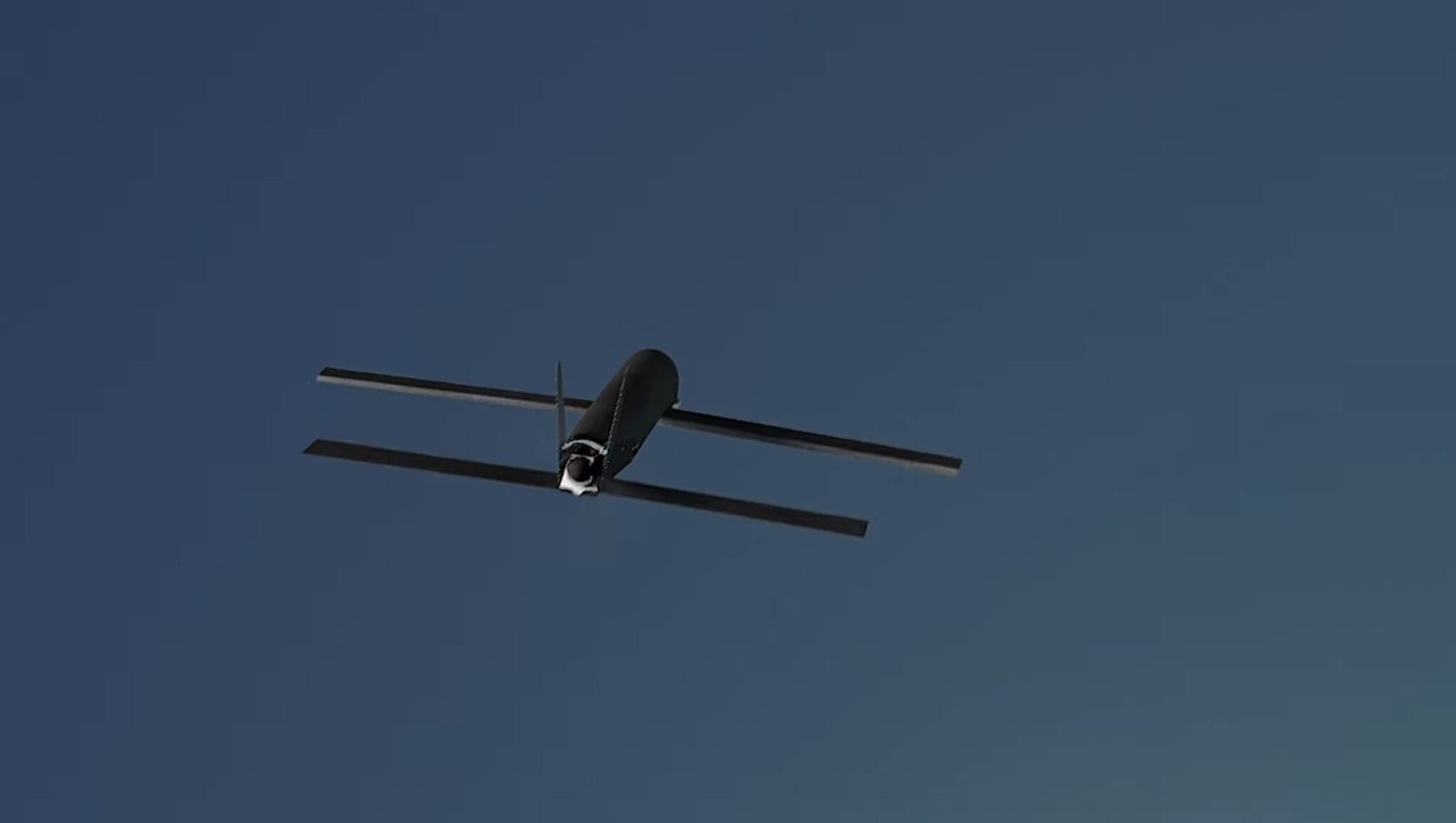 Switchblade 300