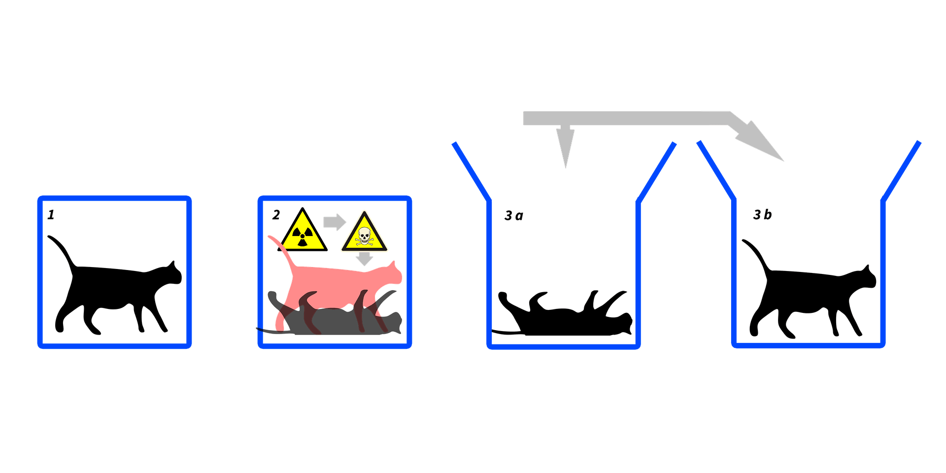 Powstał najcięższy kot Schrödingera. Jak udało się tego dokonać?