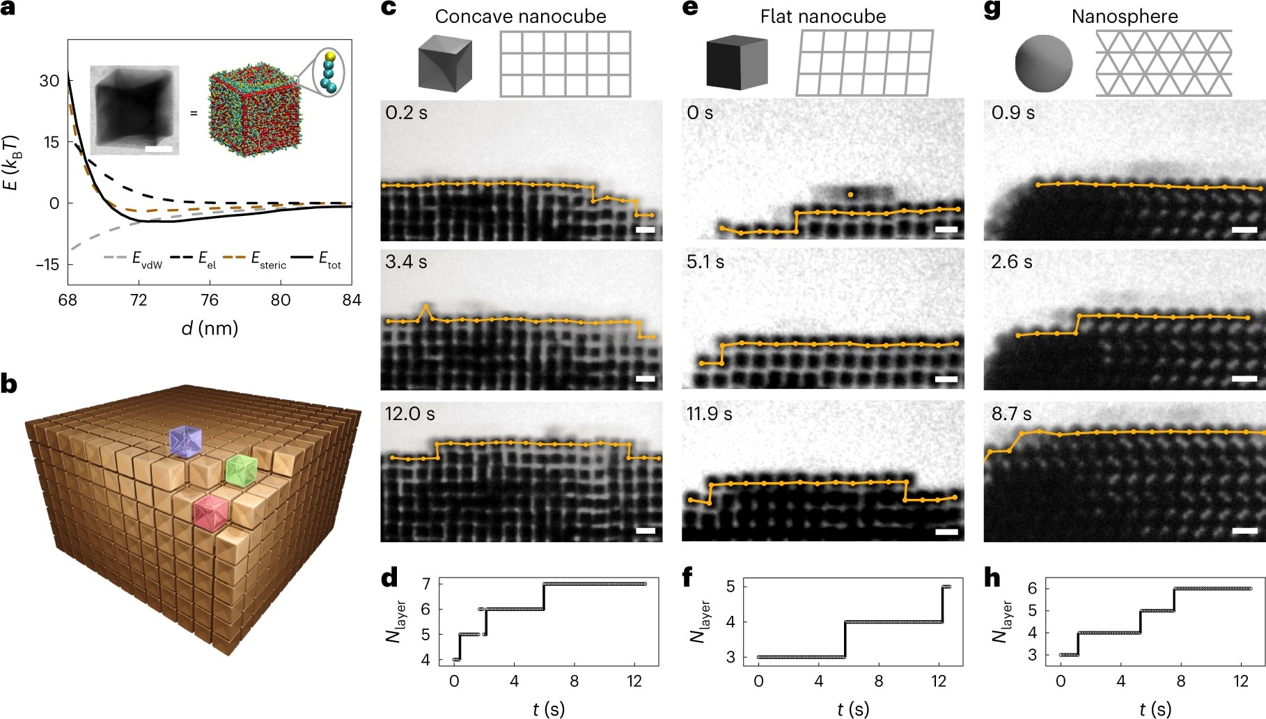 Nanocząstki, które samoczynnie tworzą kryształy. To pierwsze takie nagranie
