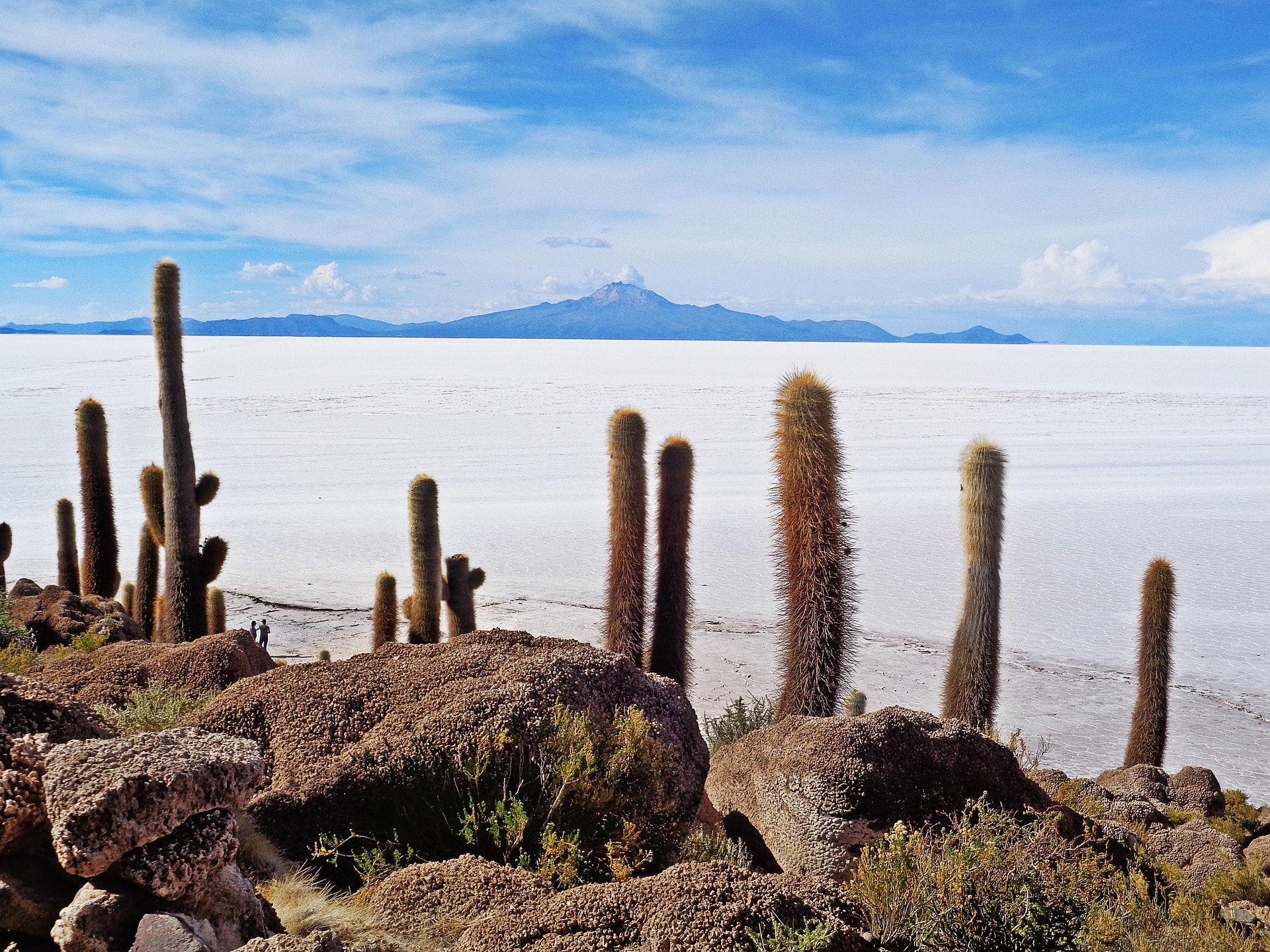 Złoża litu na Salar de Uyuni
