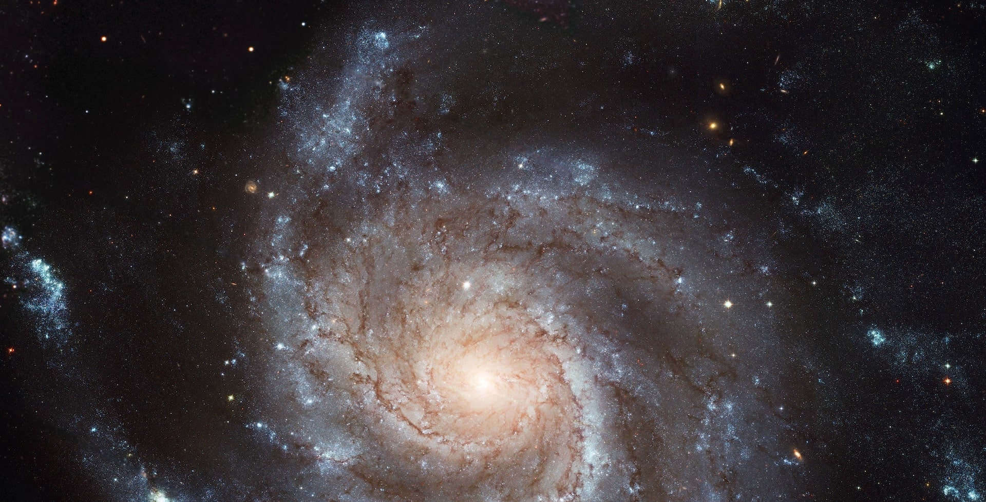 Galaktyka Wiatraczek