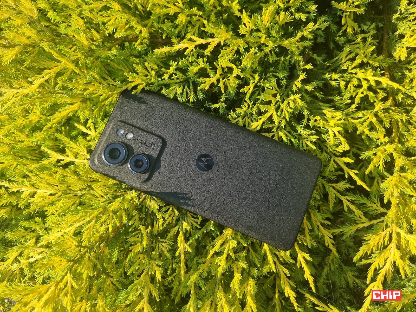 Motorola Edge 40