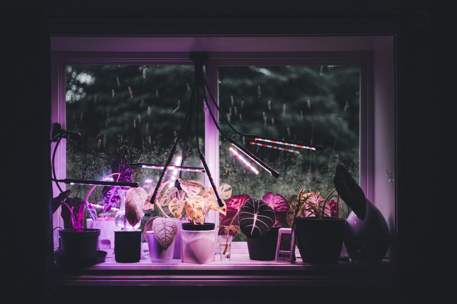 Zdjęcie poglądowe lampy UV
