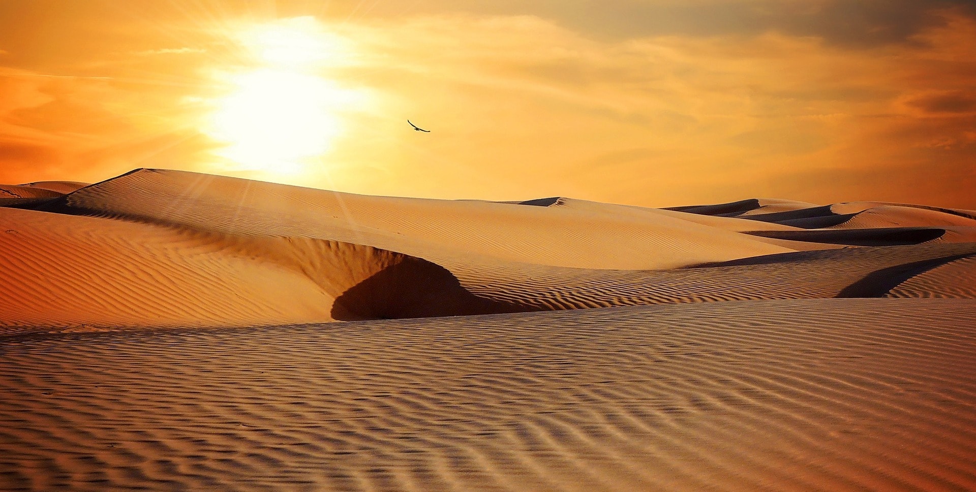 Chińczycy wiercą dziurę w pustyni. I to będzie naprawdę imponujący odwiert