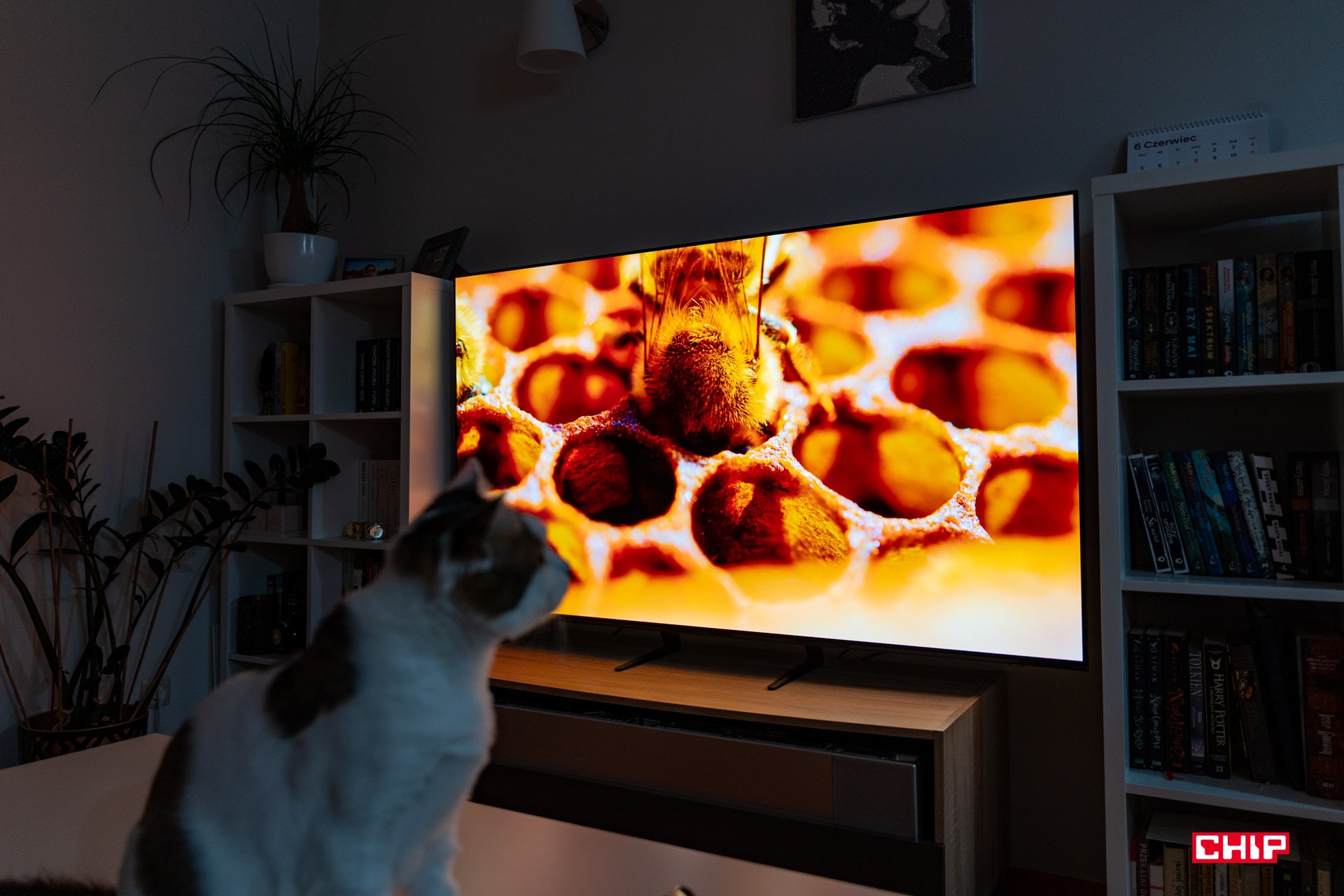 Test Samsung OLED S90C – inny wymiar telewizora
