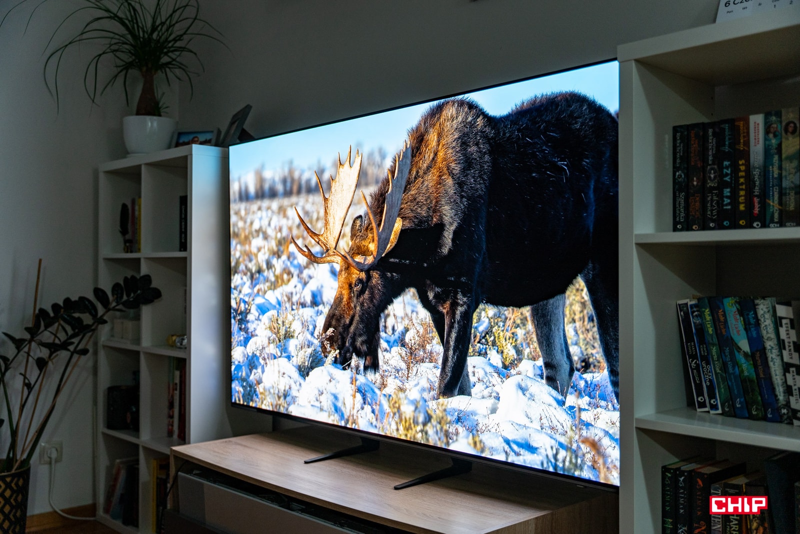 Jaki telewizor 65″ warto kupić? Oto kluczowe cechy i konkretne modele