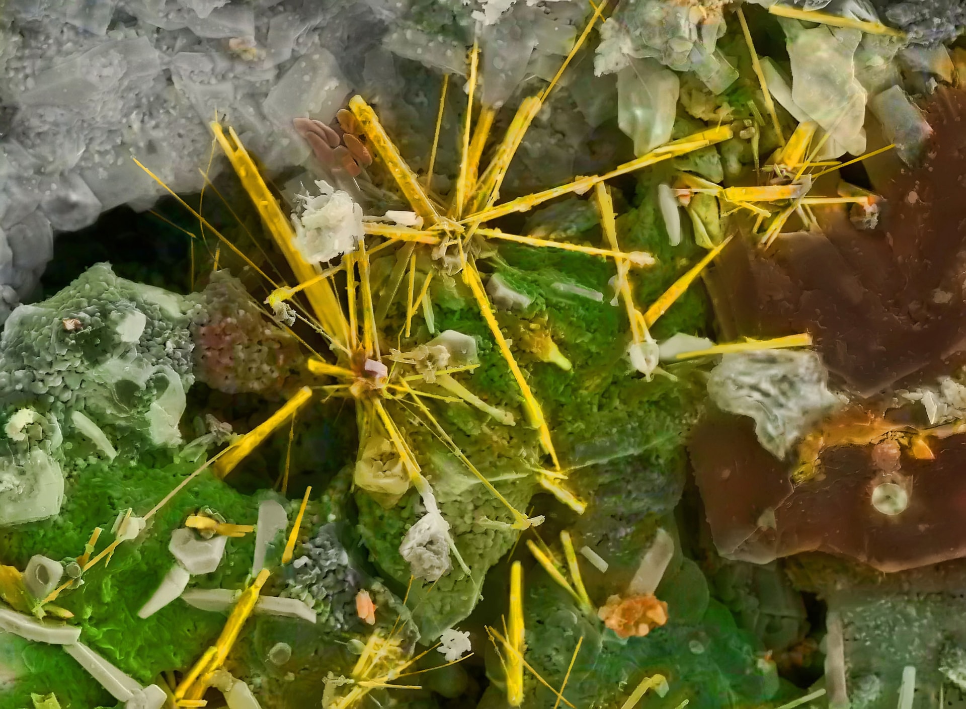 Minerały zawierające molibden i miedź na zdjęciu SEM / źródło: Wikimedia Commons, CC BY-SA 4.0
