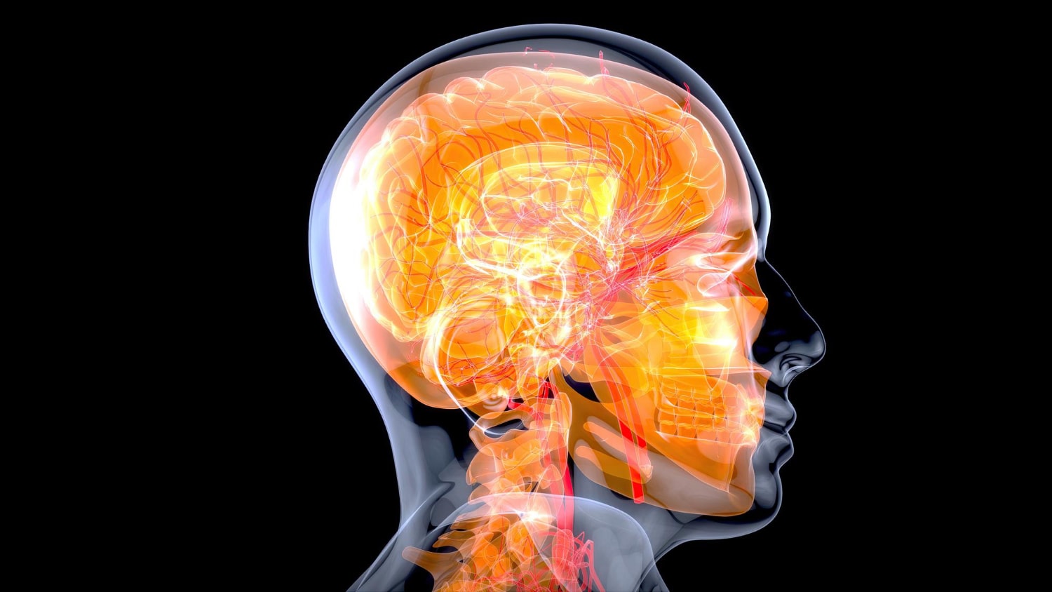 Nowy fantom mózgowy pozwoli na modelowanie wielu chorób neurodegeneracyjnych /Fot. Freepik
