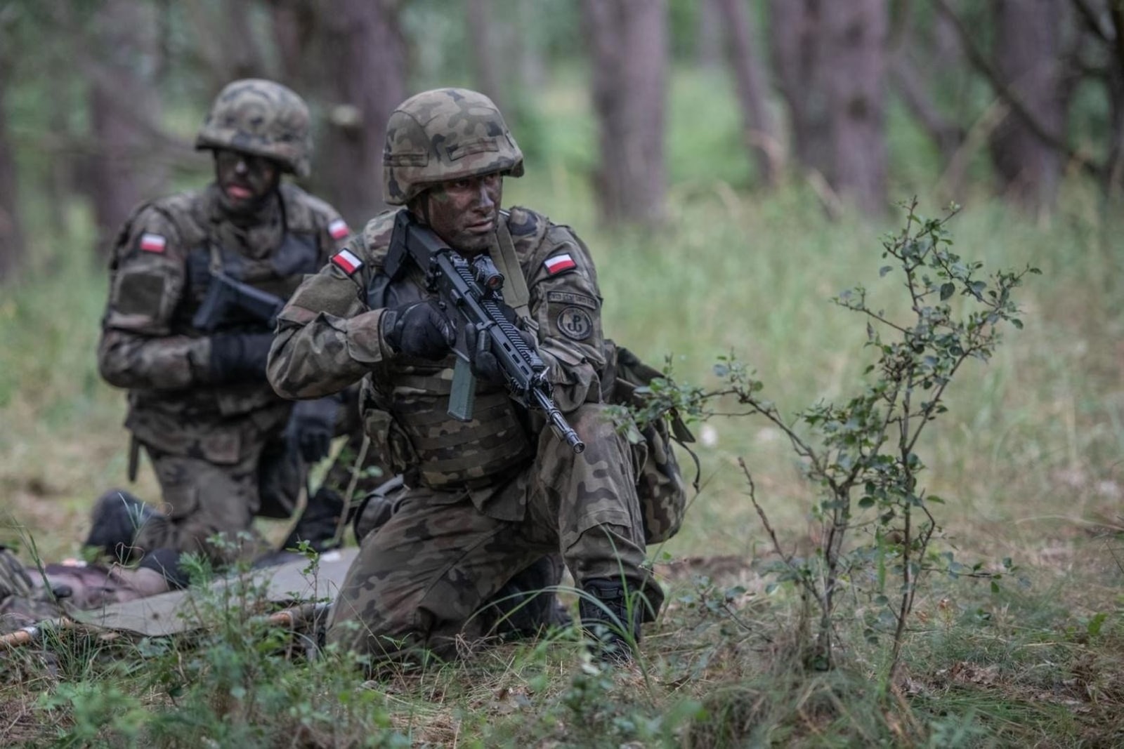 Wojsko Polskie ma nowy sprzęt. Na Legwan wydamy całe 1,2 mld zł