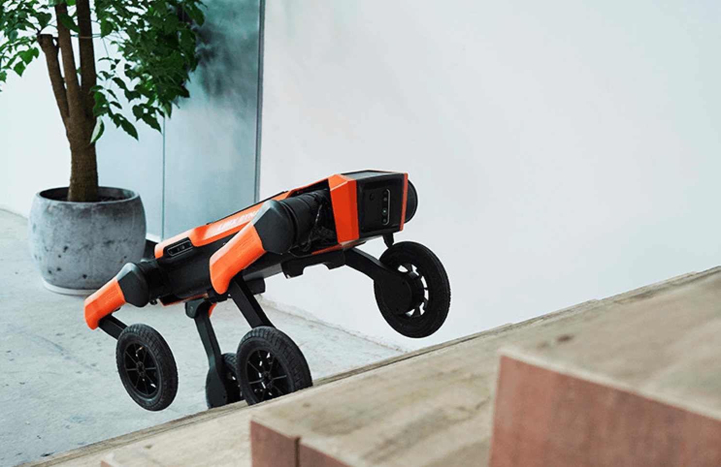 Robot W1 /Fot. LimX Dynamics
