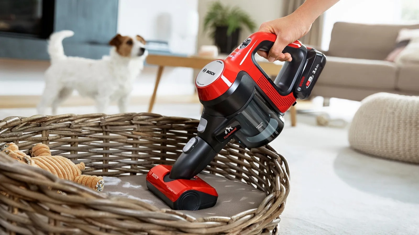 Odkurzacz pionowy Bosch Unlimited 7 ProAnimal w dużej promocji!