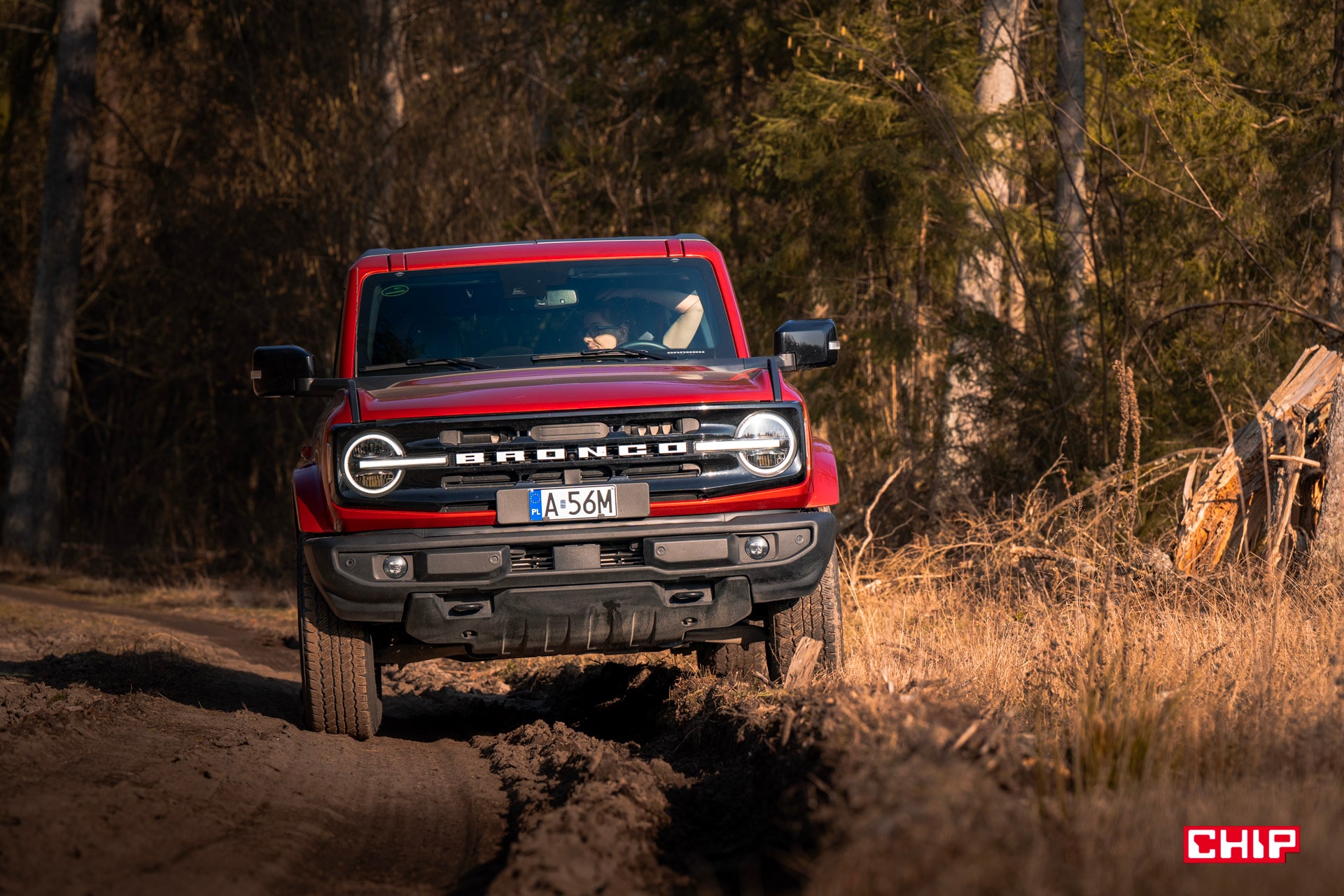 Eaton Truetrac wkracza do samochodów elektrycznych. Mechanizm różnicowy nowej generacji zaskoczy kierowców