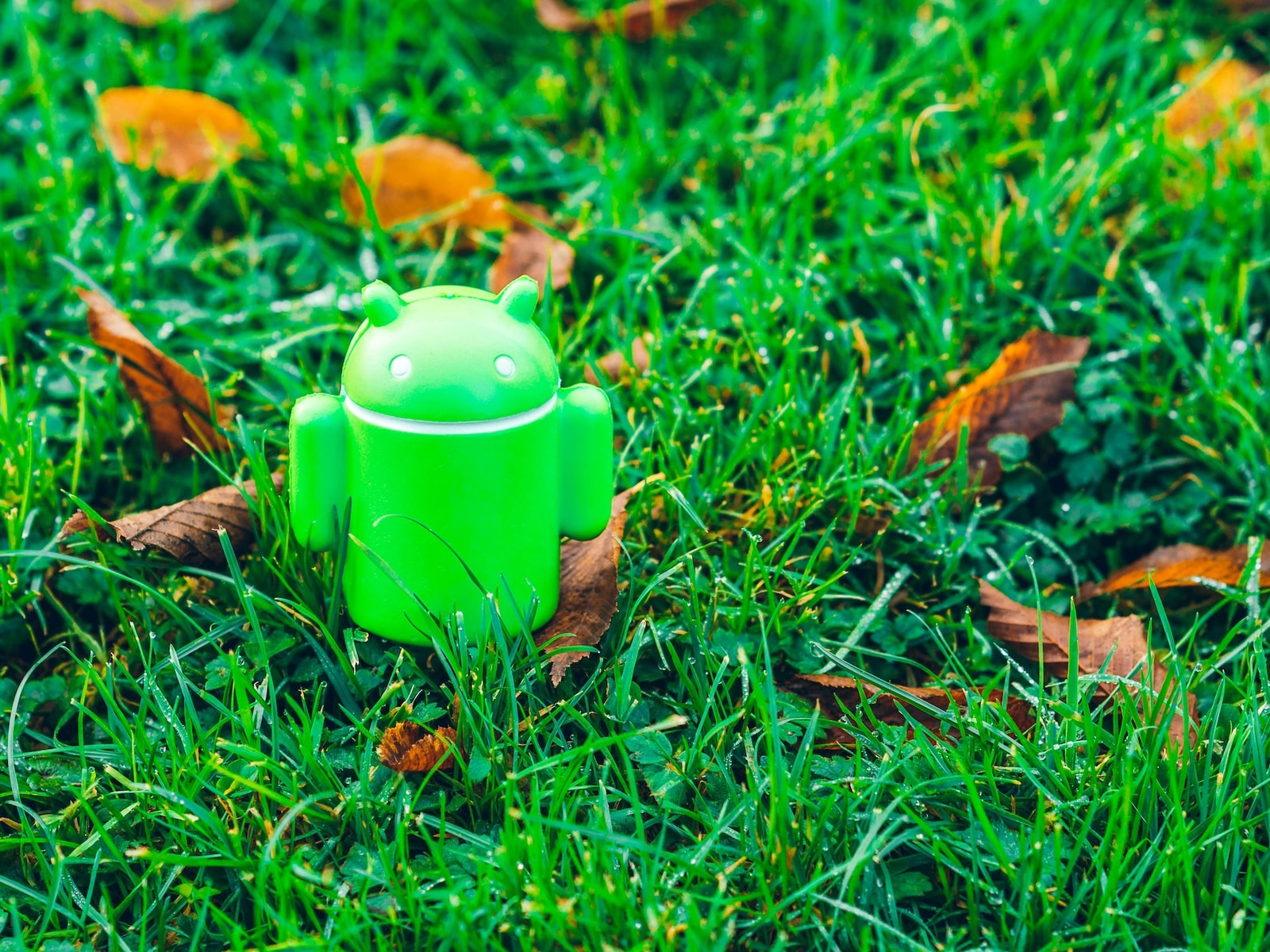 Android 16 tuż za rogiem, a „piętnastka” nadal gości jedynie na ułamku urządzeń