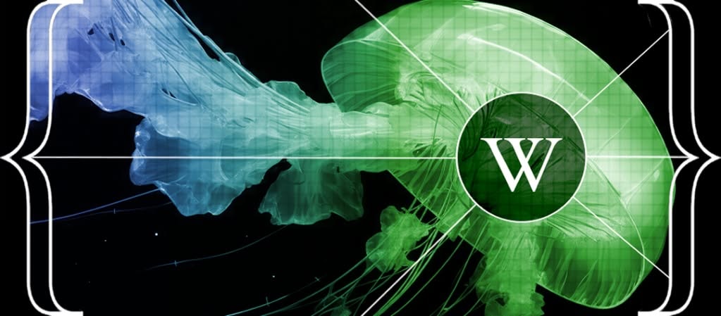 Wikipedia