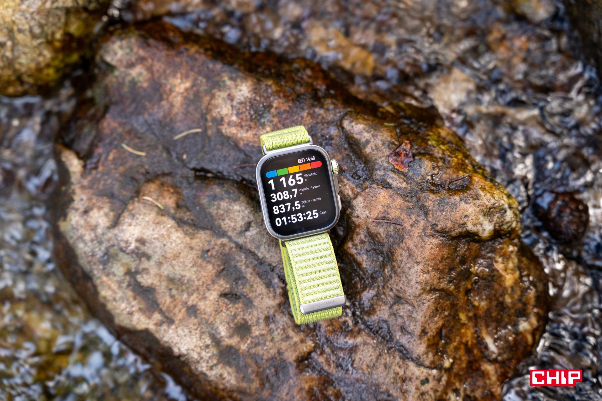 AI na nadgarstku błyskawicznie wykrywa anomalie zdrowotne. Przyszłość medycyny?