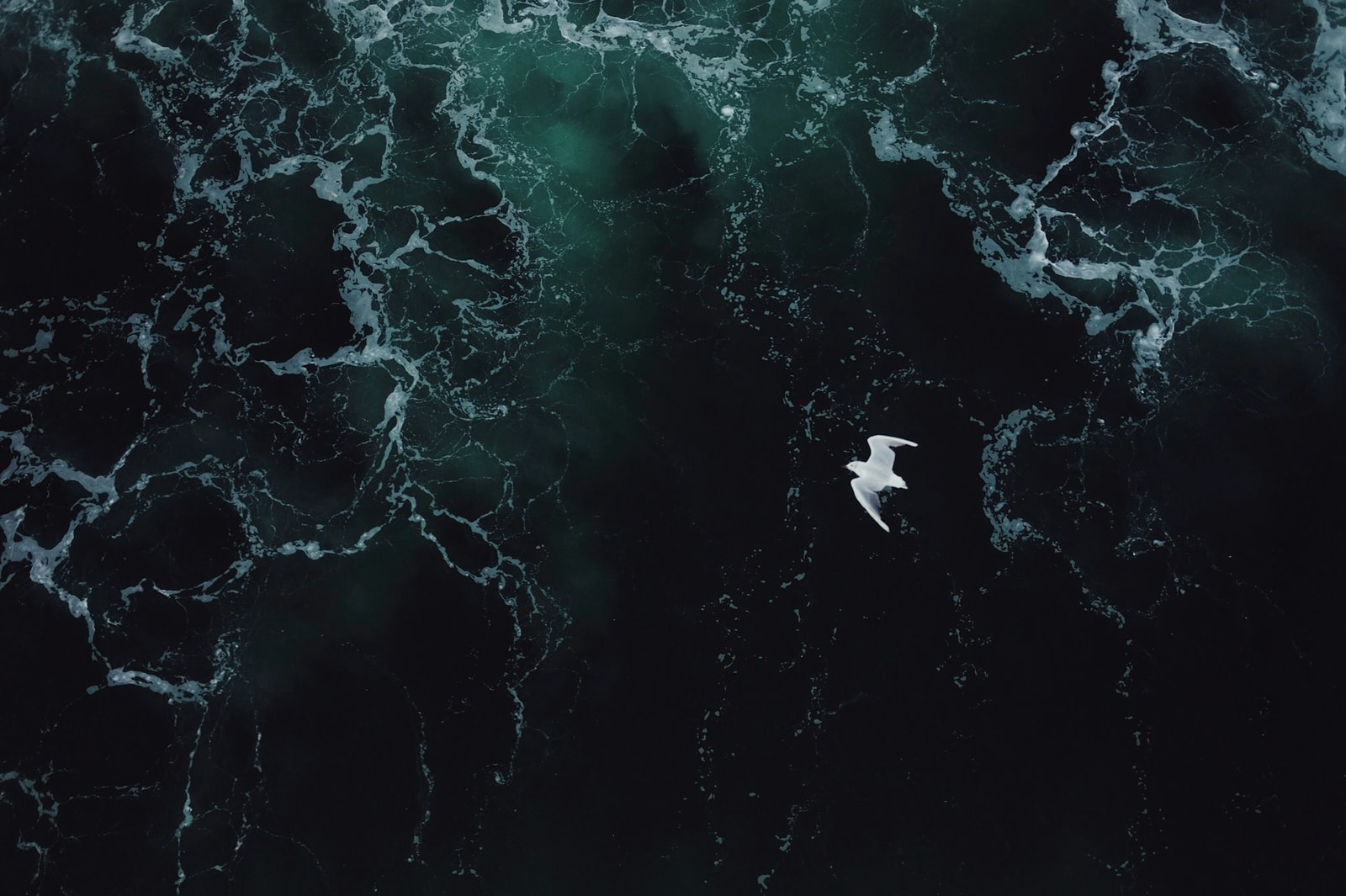 Ocean &#8211; zdjęcie poglądowe /Fot. Unsplash
