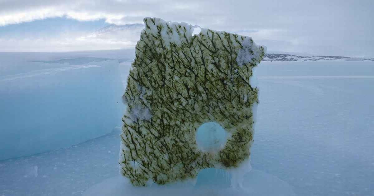 Oceany zmieniają kolor /Fot. Universiteit van Amsterdam
