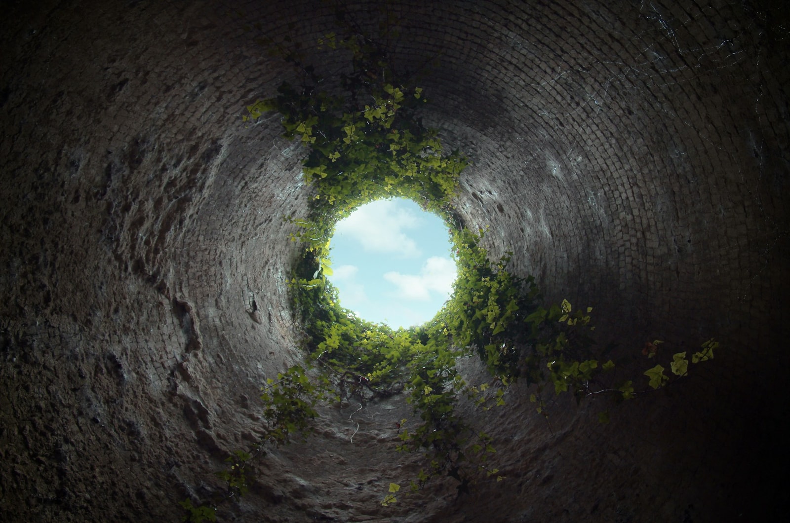 Fot. Unsplash
