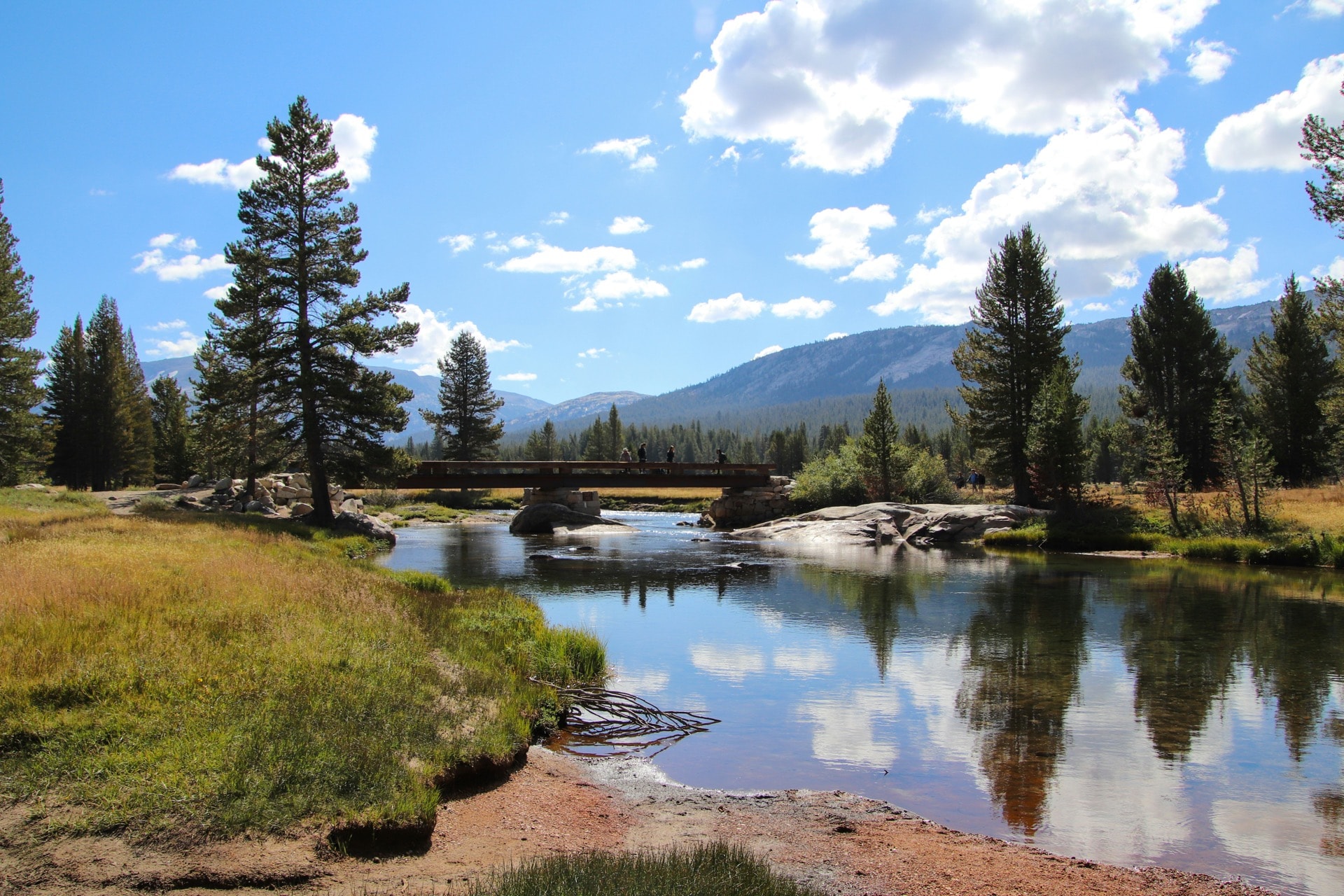 Autonomiczne Black Hawki w walce z pożarami. Kalifornia testuje technologię rodem z filmów sci-fi
