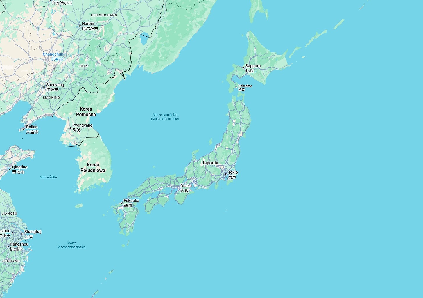 Pradawna glina ukryta pod dnem oceanu. Wzmocniła tragiczne trzęsienie ziemi w Japonii