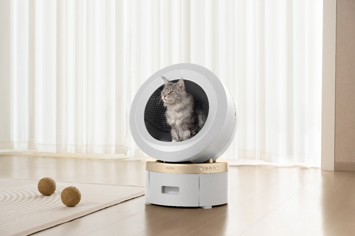 MOVA dopieszcza człowieka i jego władcę kota. Grudniowe premiery połączone z promocją