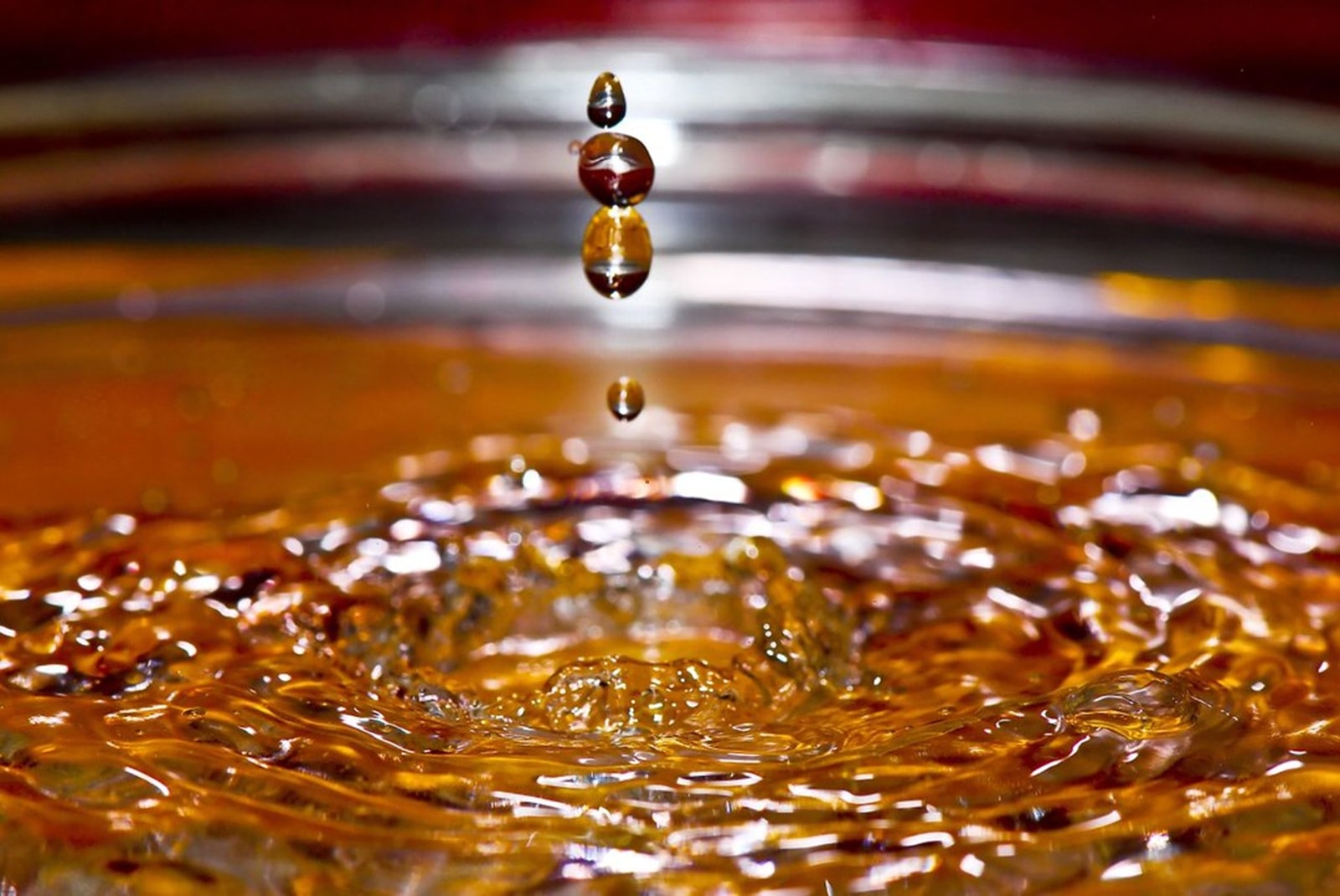 zdjęcie poglądowe, fot. Nevin Sequeira
