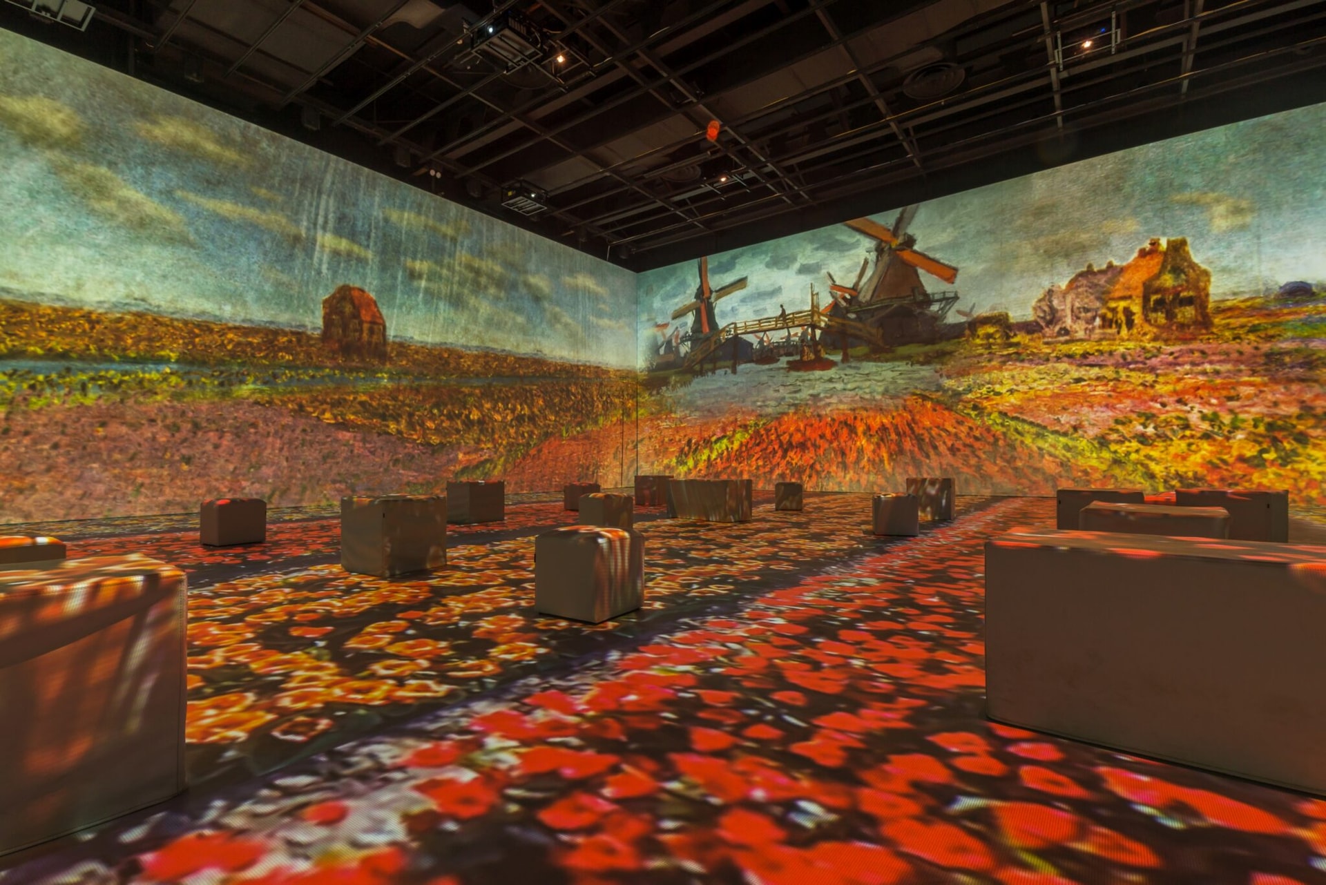 Edukacja w cieniu algorytmów. Dlaczego szkoła przegrywa wyścig z AI?