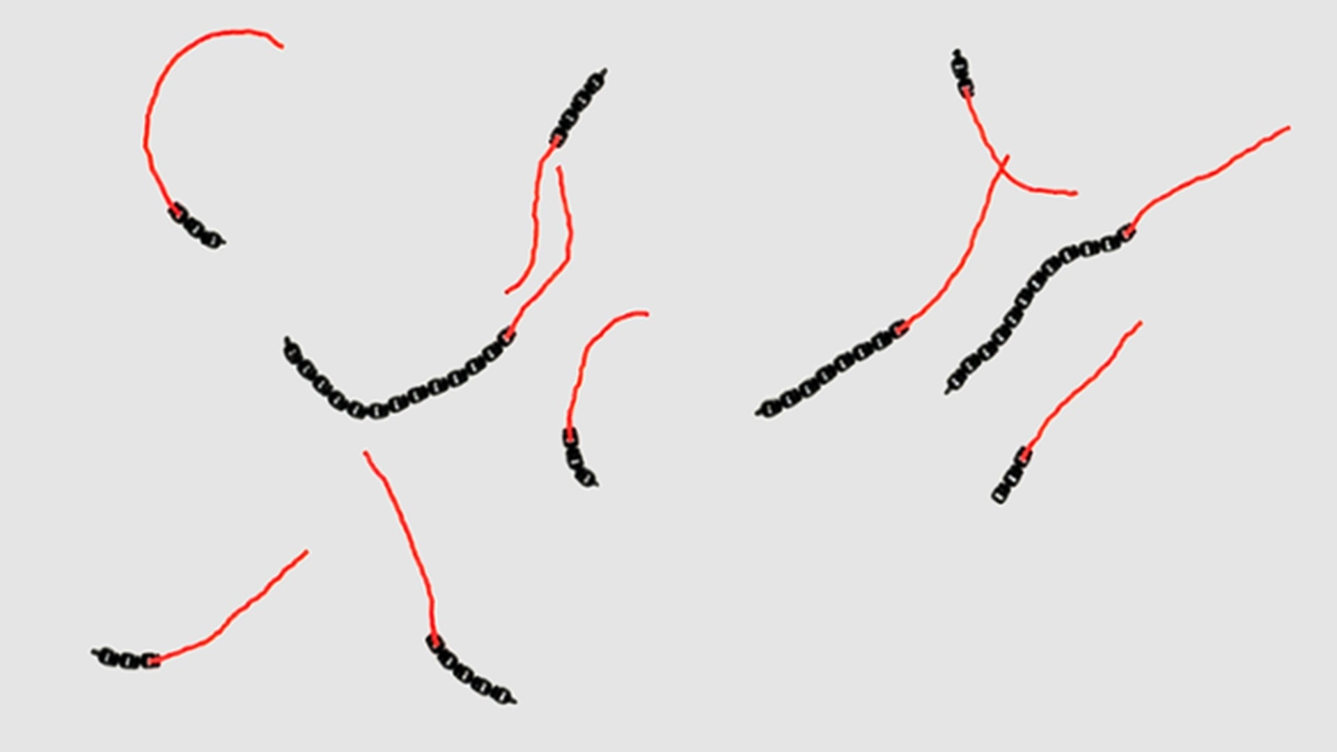 Mikroroboty cieńsze od włosa. Poruszają się same i to bez żadnej elektroniki