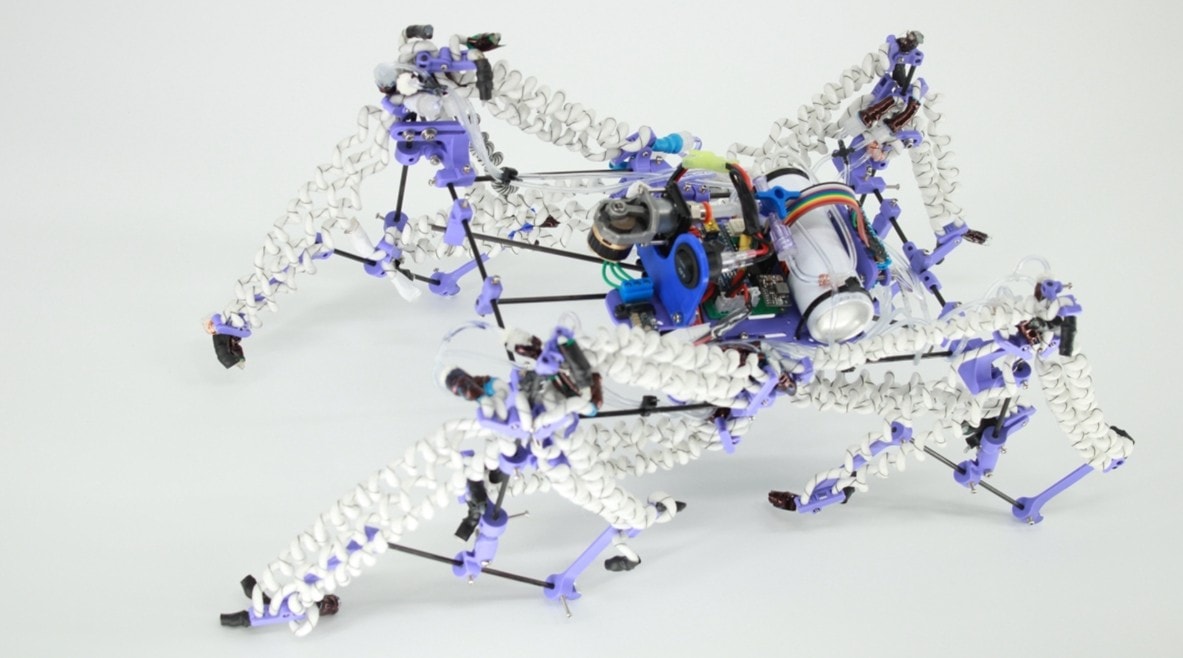 Mięśnie na powietrze. Robotyczna rewolucja z Arizony