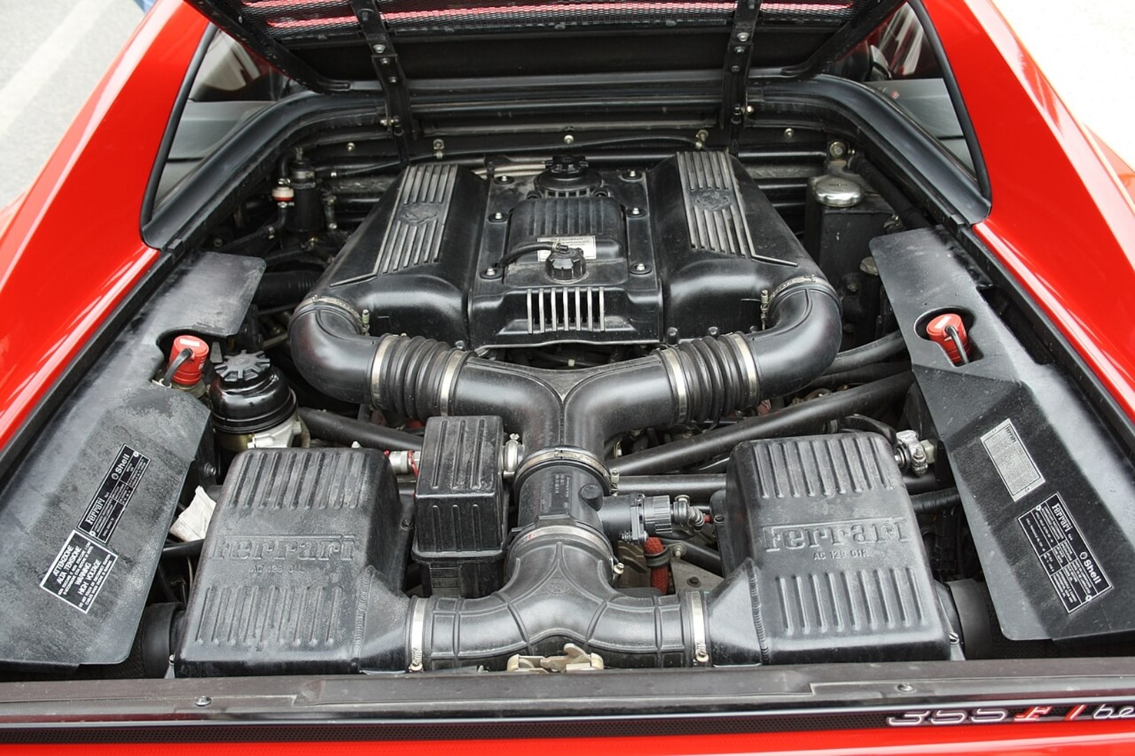 Ferrari 355 F1 Berlinetta 
