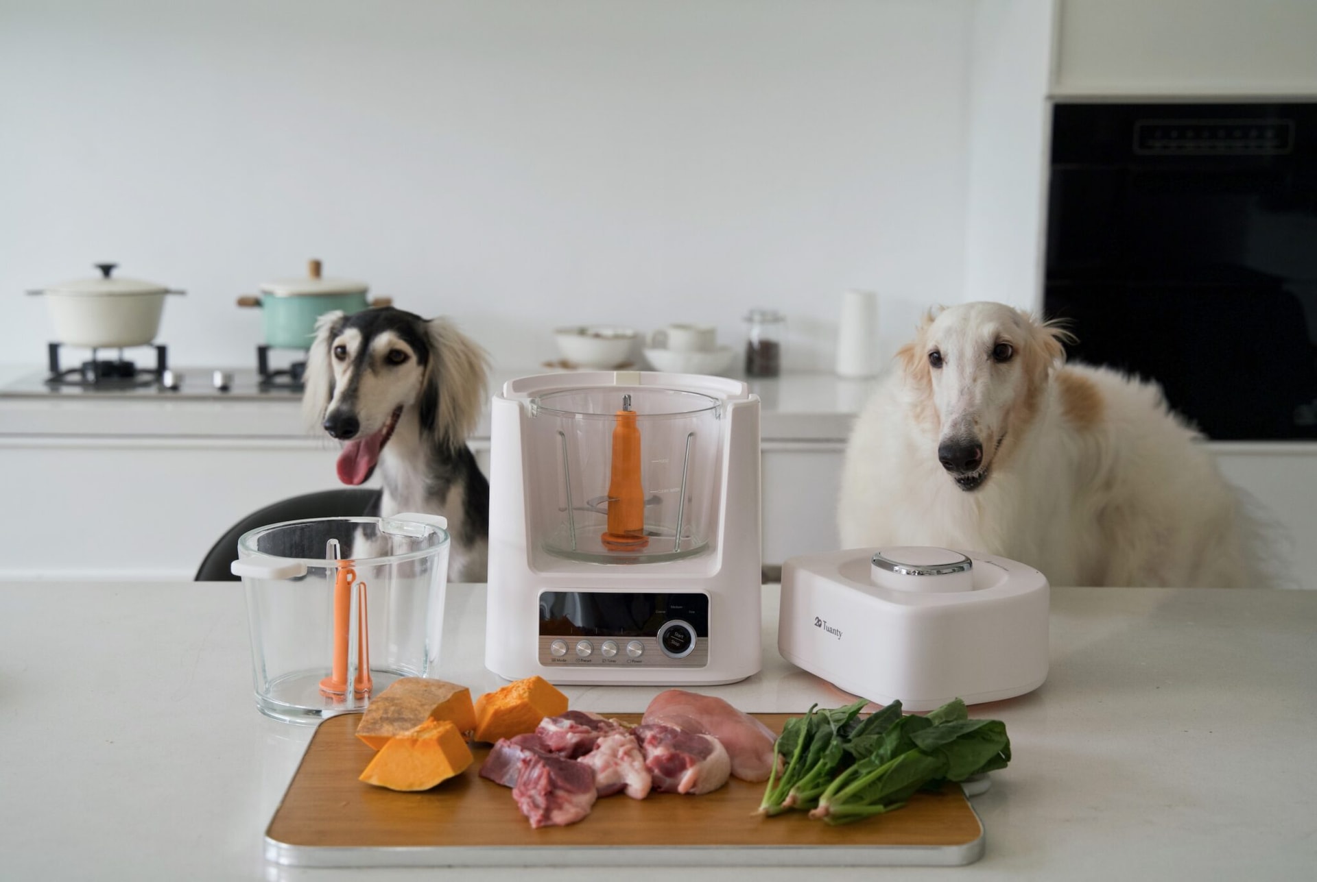 Domowe obiady dla psa bez stania przy garnkach? Do Polski trafia Tuanty Pet Food Maker, pierwszy robot gotujący dla zwierząt